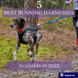 Best Dog running harnesses