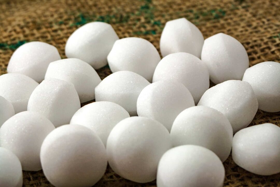 Are Mothballs Toxic To Dogs