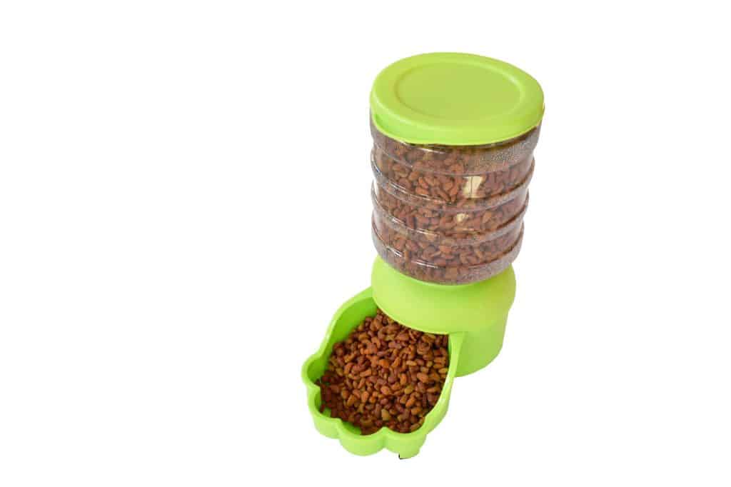 Automatic Dog Feeder