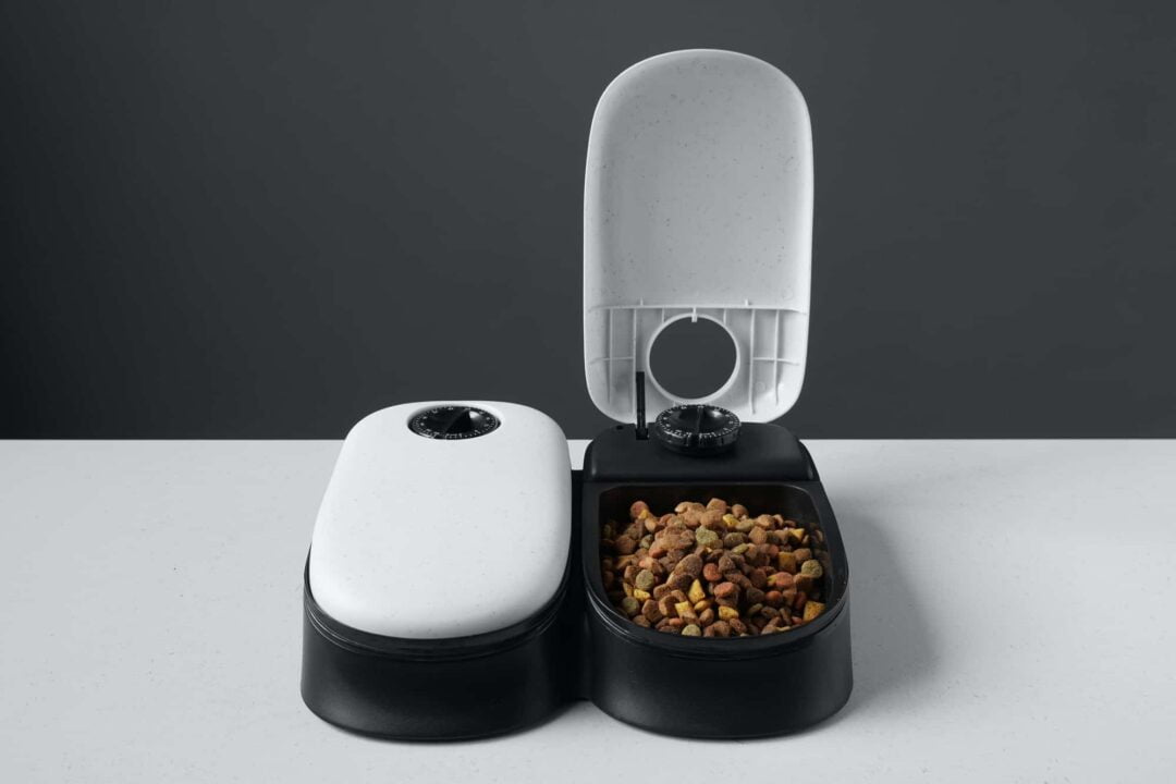 Best Automatic Dog Feeder