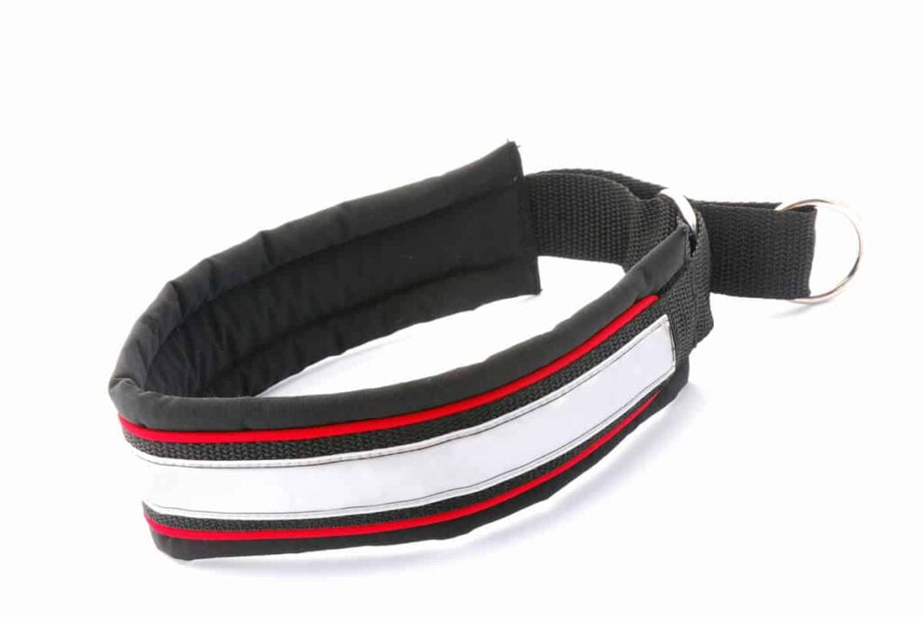 Reflective Dog Collar