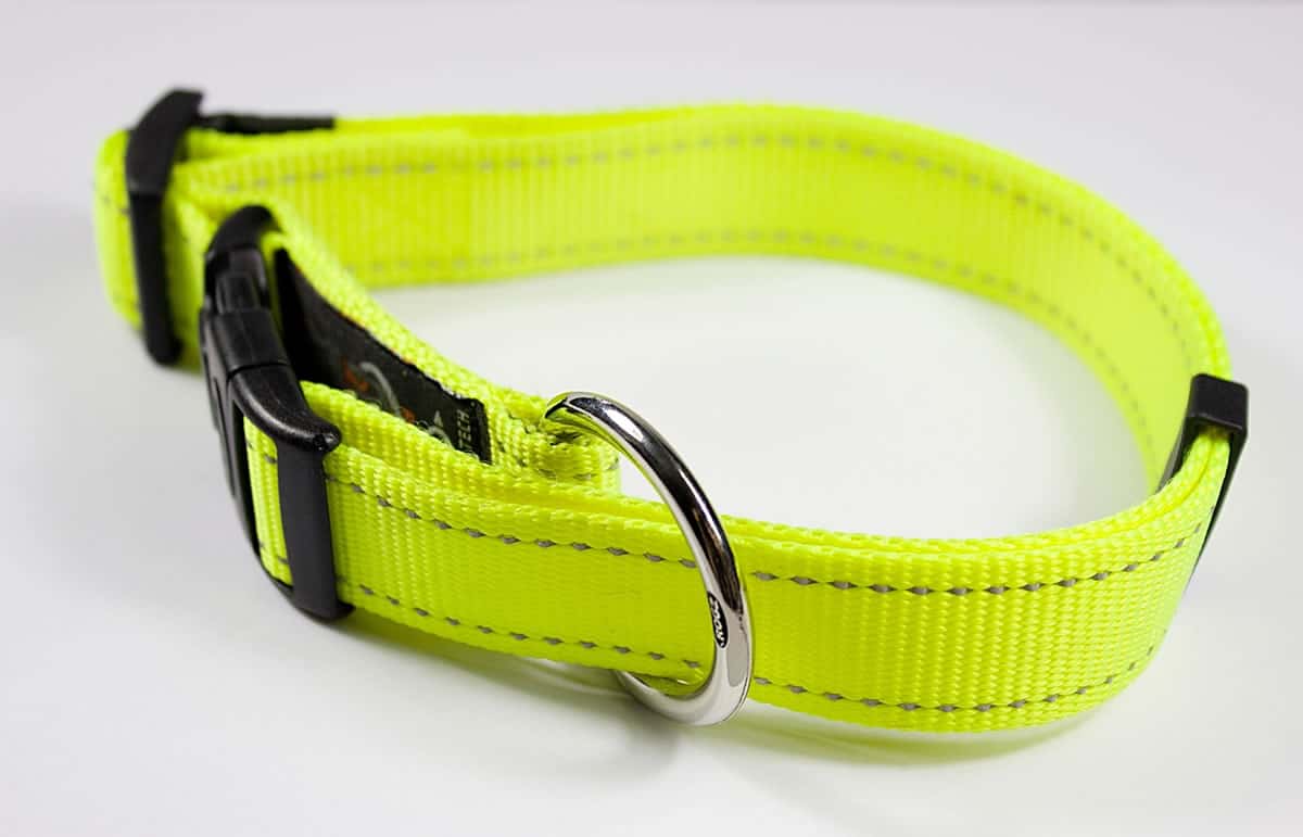 Best Reflective Dog Collar Reviews
