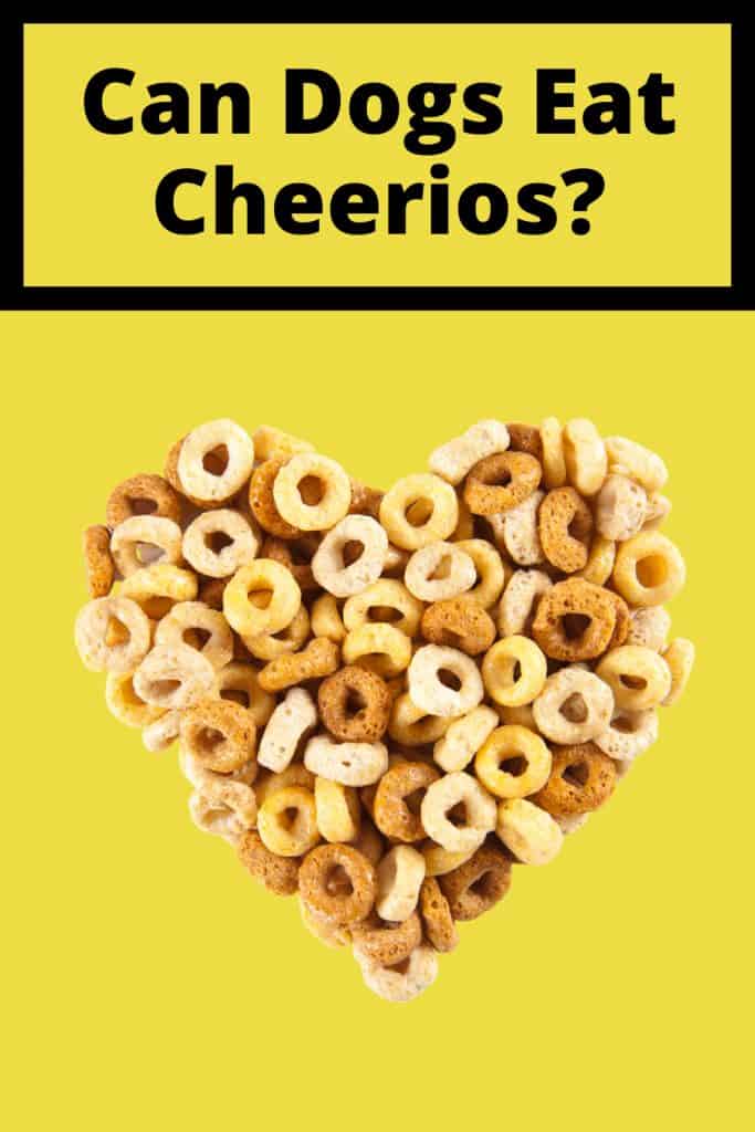 Can Dogs Eat Cheerios