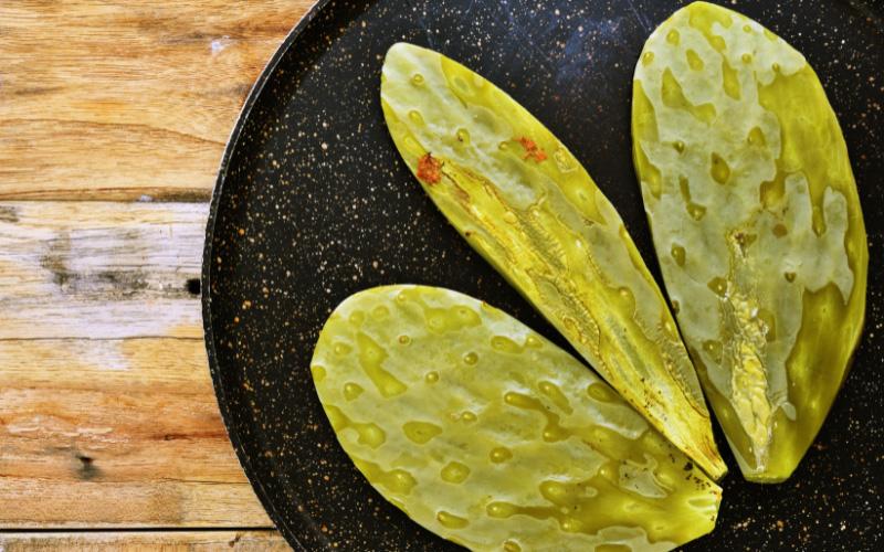 Can Dogs Eat Cooked Nopales