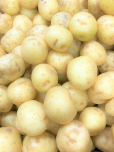 Can Dogs Eat Potatoes