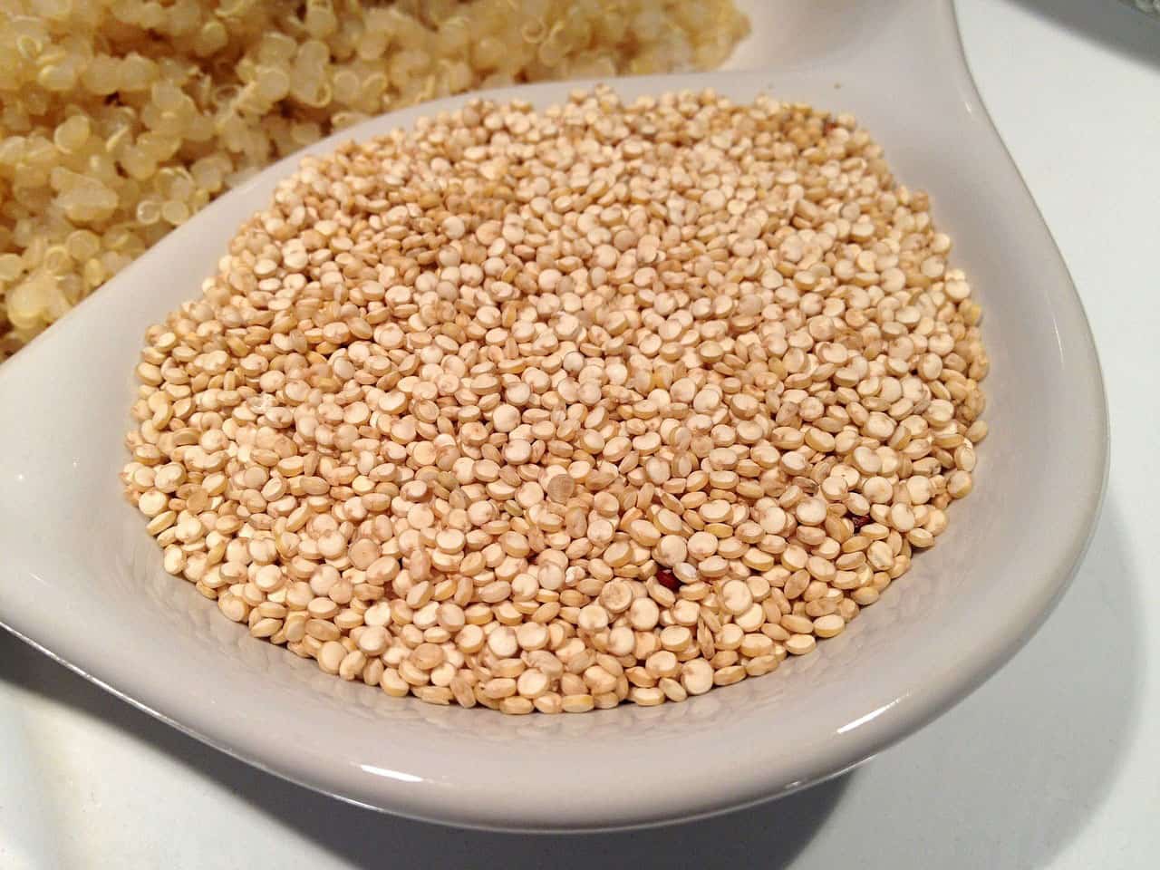 Can Dogs Eat Quinoa