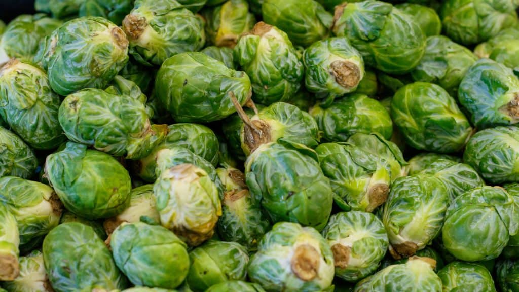 Can Dogs Eat Raw Brussel Sprouts