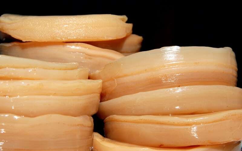 Can Dogs Eat The Scoby?