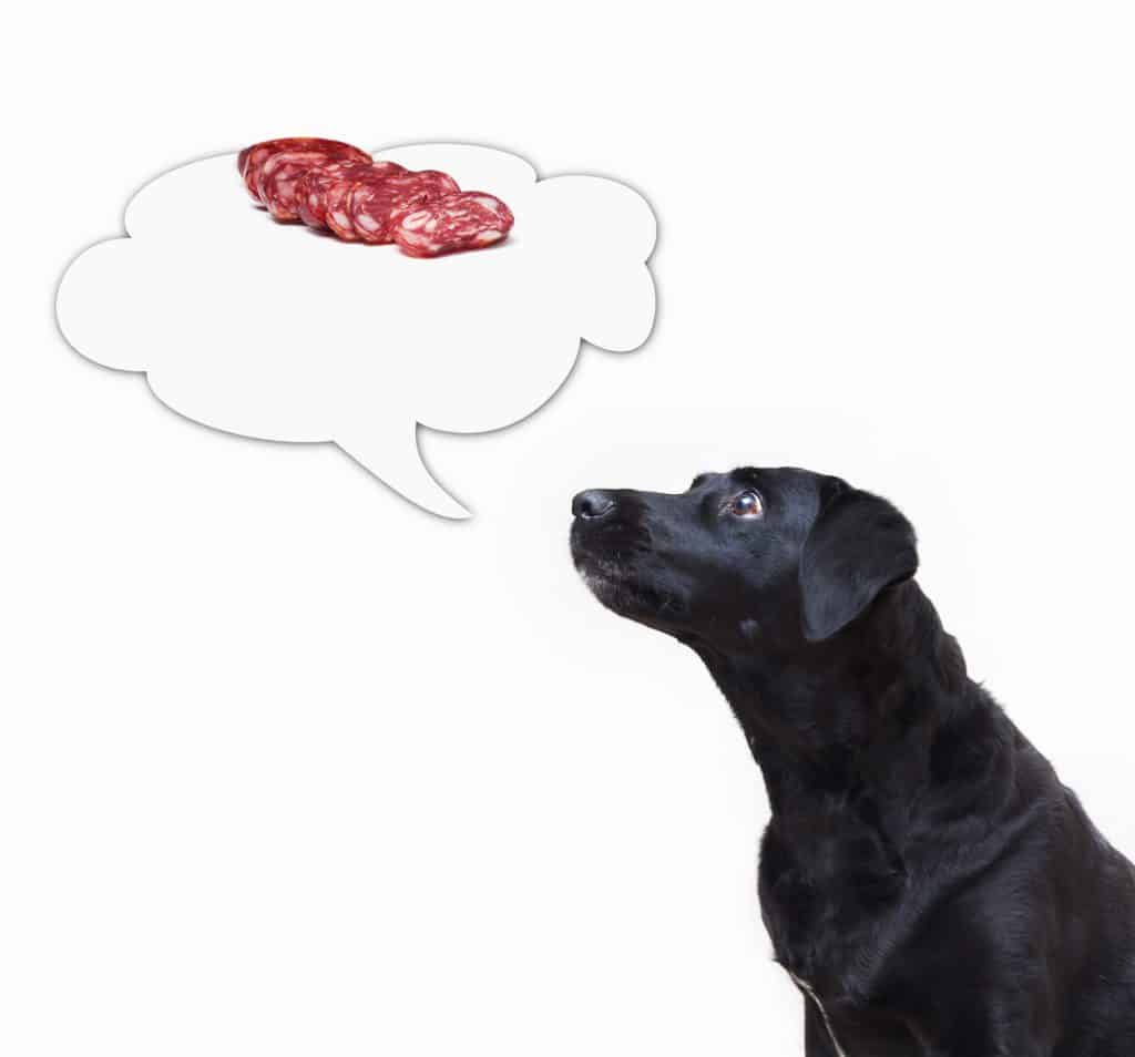 Can Dogs Eat Uncured Salami