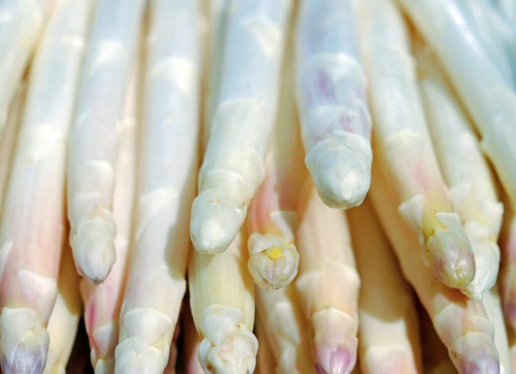 Can Dogs Eat White Asparagus
