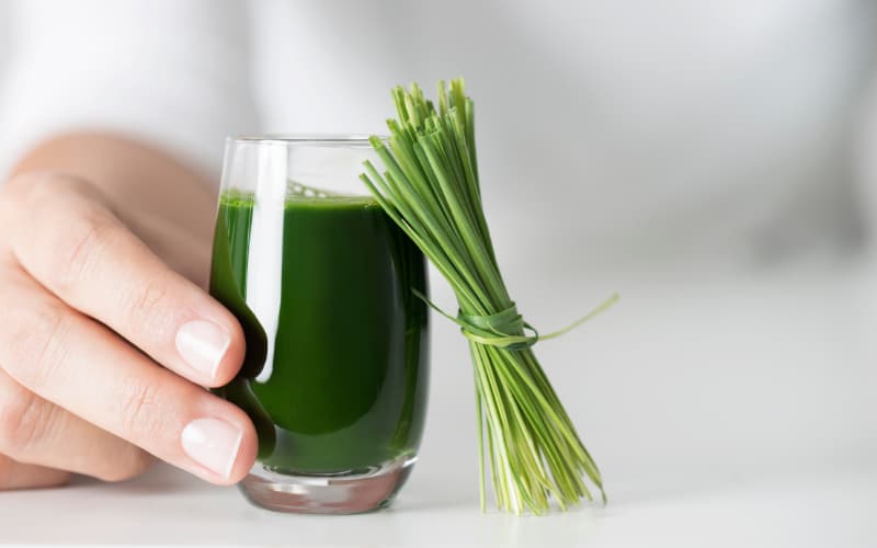 Can Dogs Have Wheatgrass Juice