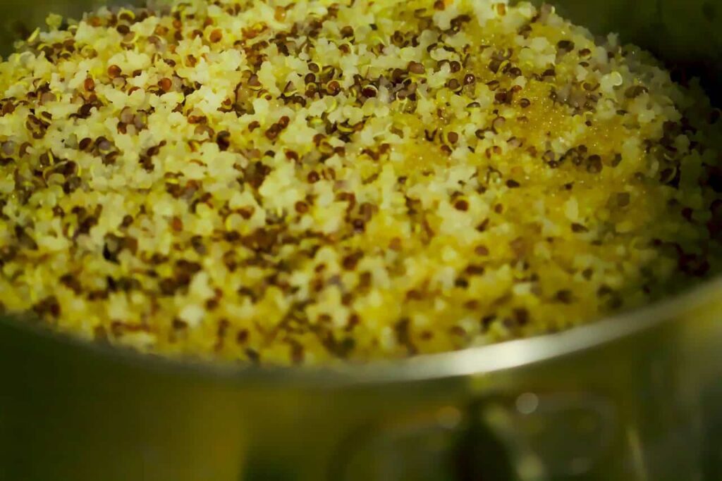 Cooked Quinoa For Dogs