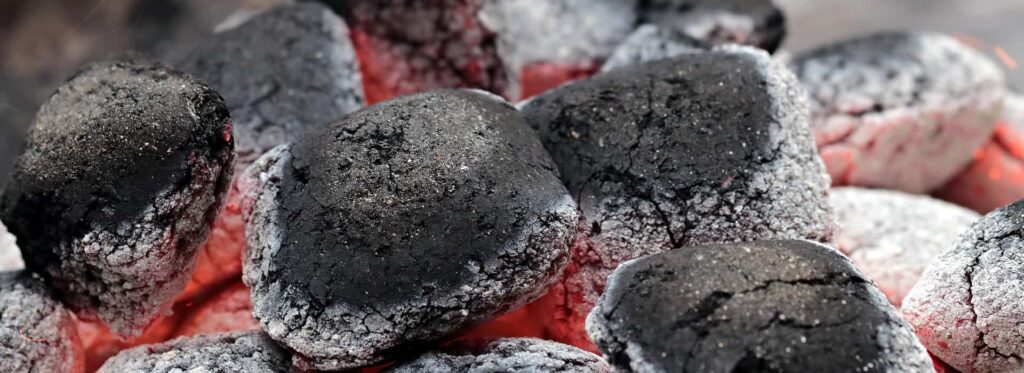 Dog Ate Charcoal