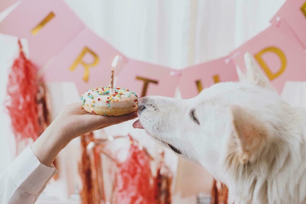 Dog Eating Sprinkles