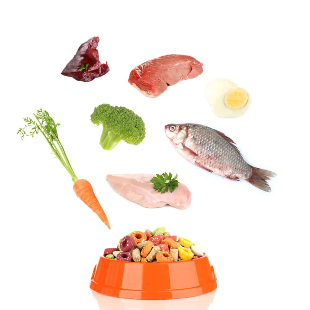 Dog Food For Pitbulls