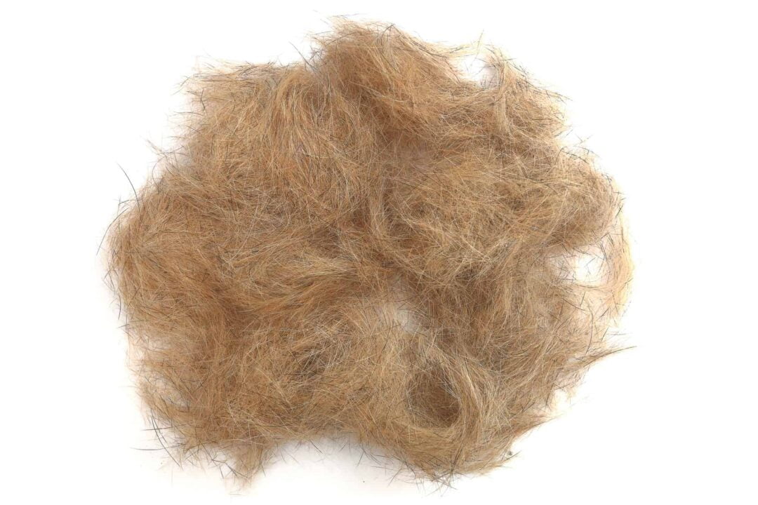Dog Hair