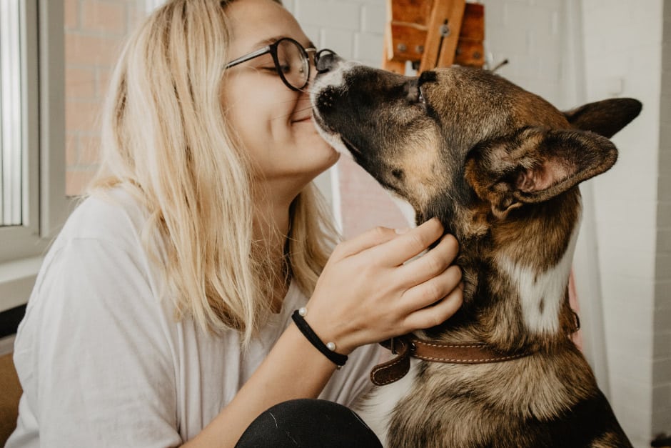 Dog Loving Owner