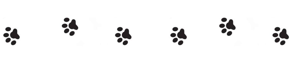 Dog Silhouettes Background Dog Tracks