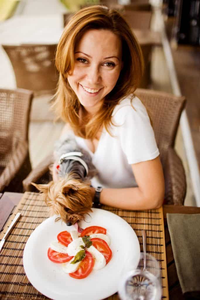 Foods Yorkies Should Avoid