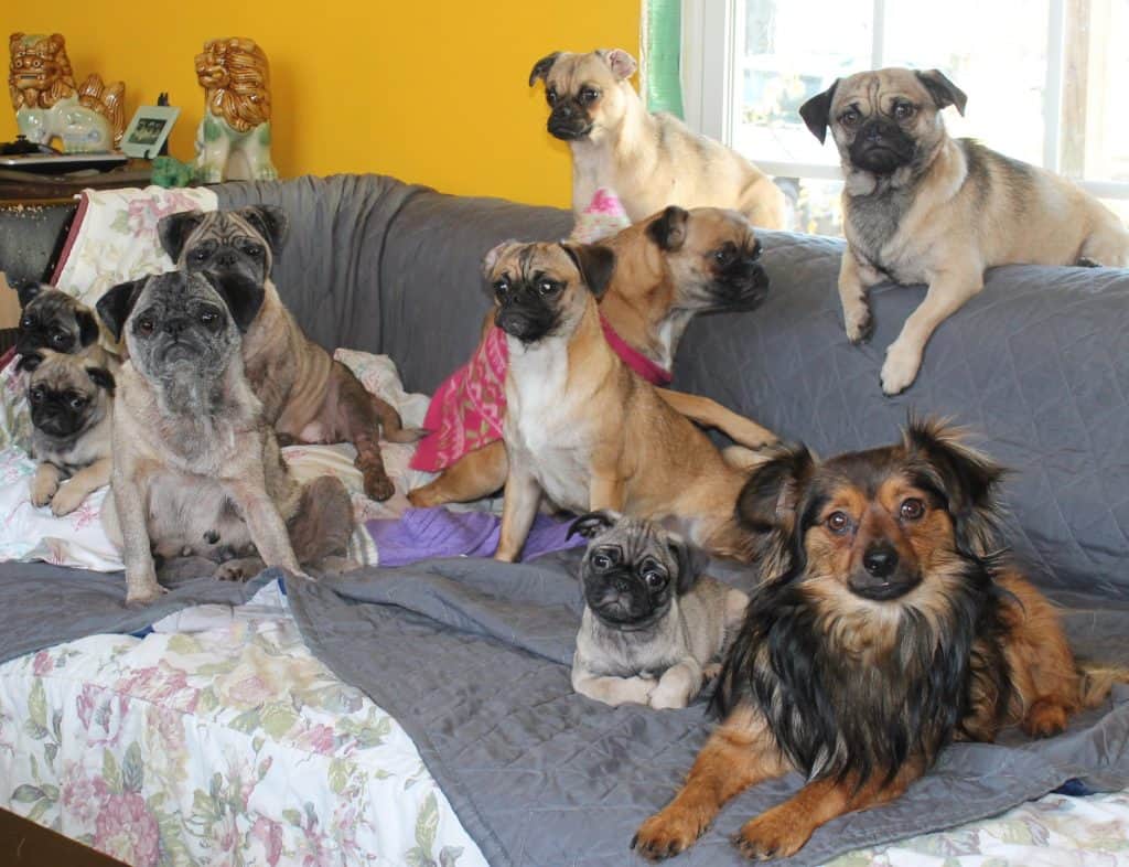 Group Of Chugs