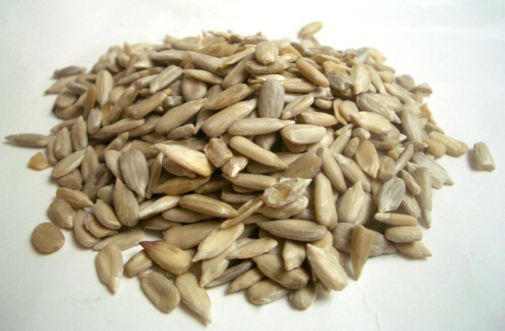 How Many Sunflower Seeds Can Dogs Have