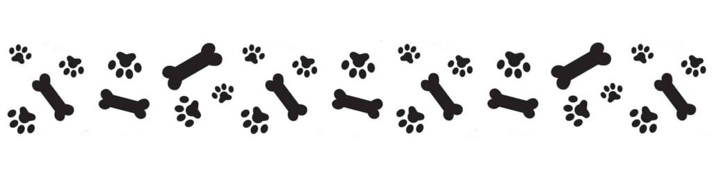 Paws & Bones