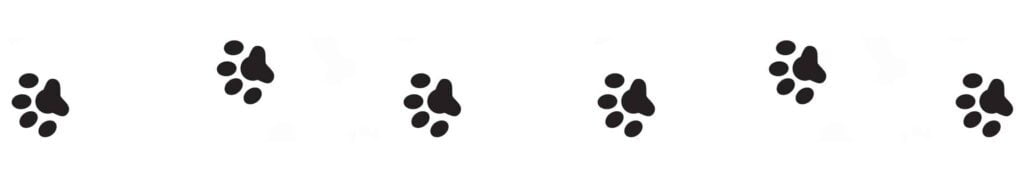 Dog Paw Prints