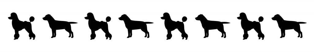Lab Poodle Dog Silhouettes