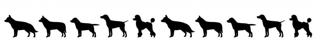 Medium Large Dog Silhouettes