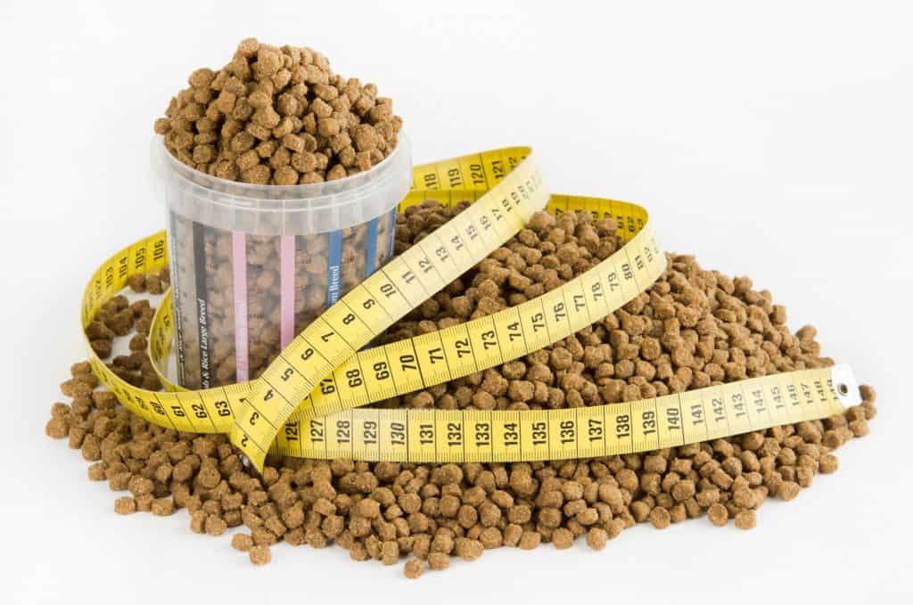 Measure Dog Food