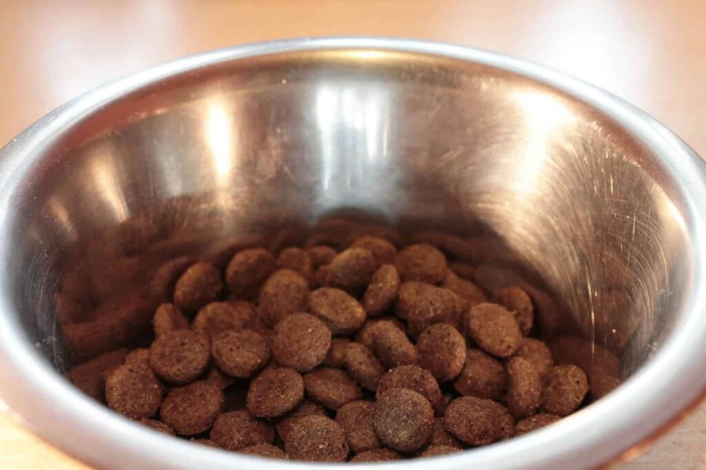 Natural Balance Dog Food Review
