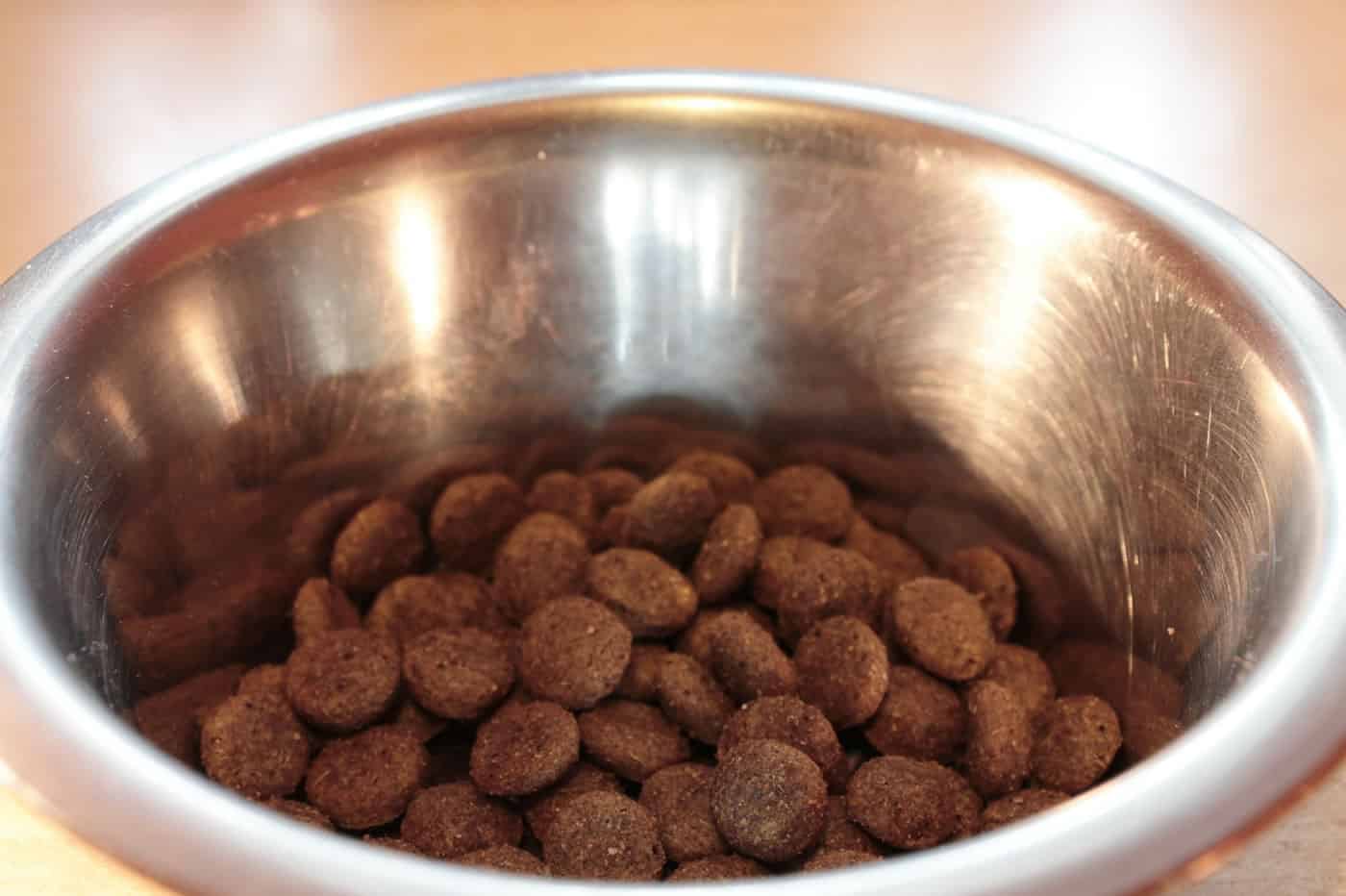 Natural Balance Dog Food Review