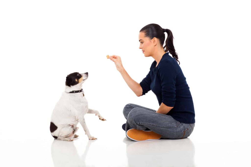 Quiet Command Dog Training